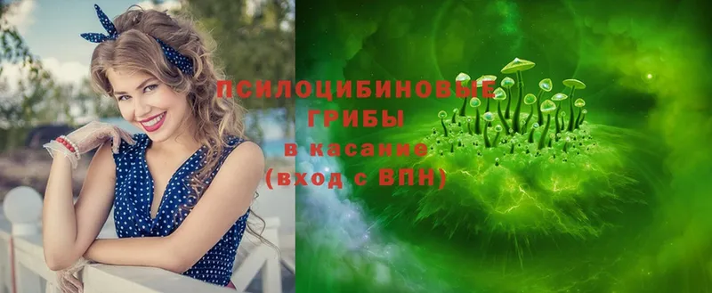 Псилоцибиновые грибы Psilocybine cubensis  hydra онион  Малая Вишера  купить наркотик 